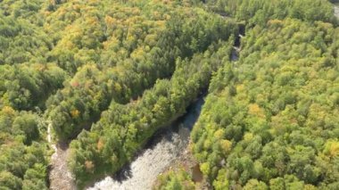 Büyük Güney Quebec ormanlarının güzel Kanada seyahat beldesi görüntüleri