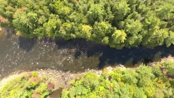 无人机飞过潮湿的河流 然后在自然树墙的另一边干涸的河流 — 图库视频影像
