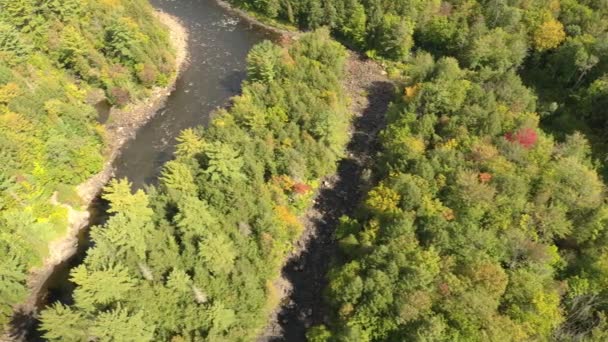 Water Dat Het Ene Deel Van Rivier Stroomt Waardoor Andere — Stockvideo