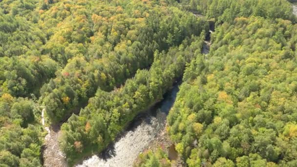 Bella Destinazione Canadese Filmato Delle Grandi Foreste Del Quebec Meridionale — Video Stock