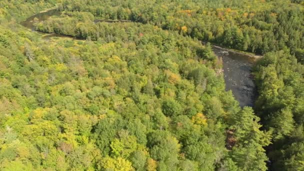 Wide Canadian Mixed Forest Moderate Elevation River Flowing Thru — Stock Video