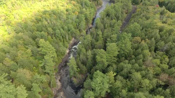 Dramática Vista Aérea Del Río Que Divide Profundos Bosques Canadienses — Vídeos de Stock