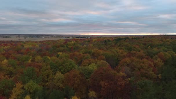 Very Slow Drone Flight Forest Fall Rural Fields Distance Dusk — Stock Video