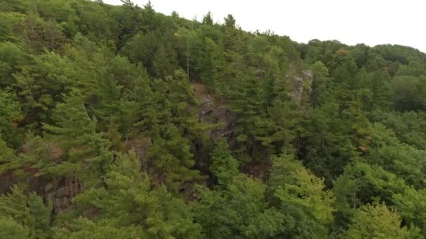 Drone Elevándose Impresionante Tiro Aéreo Sobre Montaña Cubierta Árboles Rocas — Vídeo de stock