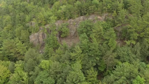 Drone Nadert Rotsachtige Klif Met Bos Groeien Rondom Het Canada — Stockvideo