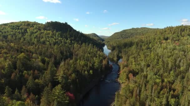 Açık Mavi Gökyüzünde Yeşil Çam Ağaçlarından Oluşan Vadide Ilerleyen Hava — Stok video