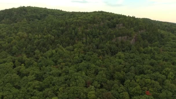 いくつかの岩の崖の緑豊かな鬱蒼とした木々のピークと劇的な森 — ストック動画