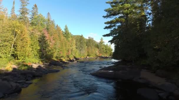 Drone levant verticalement et régulièrement sur la jolie rivière qui coule à travers la vallée verte 