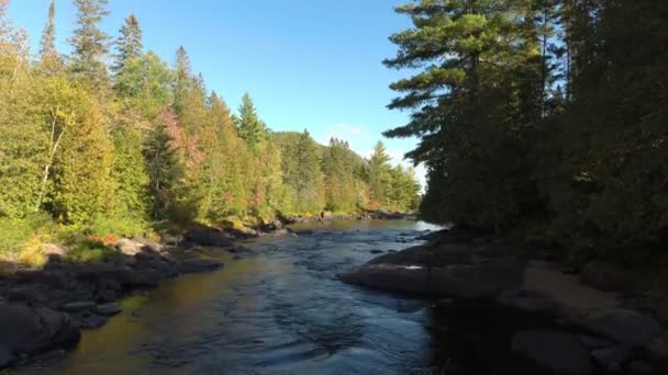 Drone Che Solleva Verticalmente Costantemente Sul Grazioso Fiume Che Scorre — Video Stock