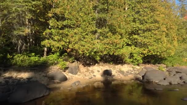 Orörd Långsam Glidande Drönare Skott Sand Och Sten Strand Skogen — Stockvideo