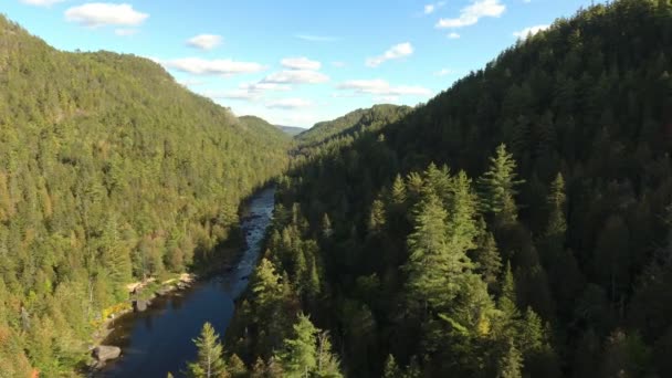 Gyönyörű Völgy Fenyőerdő Quebec Kanada Nézett Drón Repülés Közben — Stock videók