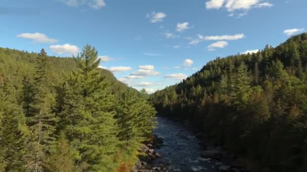 Vue aérienne avec mouvement vers l'avant de part et d'autre d'une vallée pure et luxuriante 