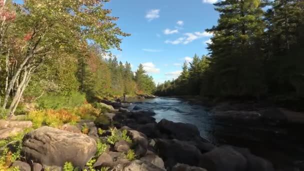 Drone Terbang Rendah Atas Sungai Berbatu Dengan Matahari Dan Bayangan — Stok Video