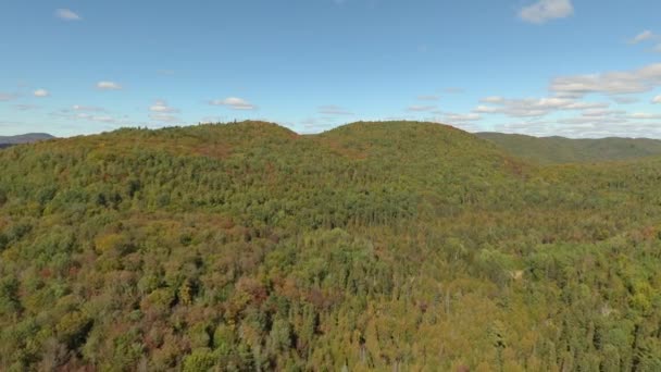 无人驾驶飞机在空中盘旋 拍下了清澈的森林和蓝天 — 图库视频影像
