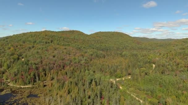 Liten Landsbygd Grusväg Som Går Genom Tät Skog Med Kullar — Stockvideo