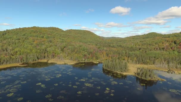Pohled Ptačí Perspektivy Postupující Nad Jezero Zelenými Plovoucími Skvrnami Kanadě — Stock video