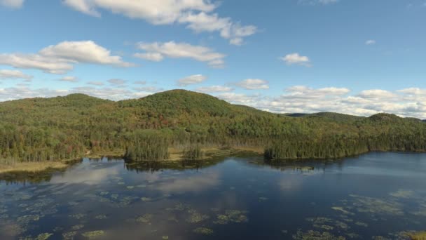 在茂密的森林和蓝天旁边平静的湖面上的空中移动序列 — 图库视频影像