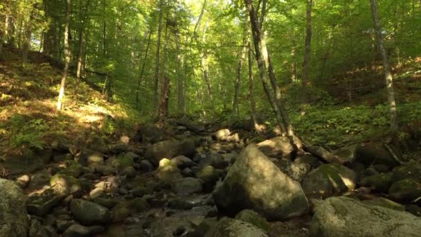 One Minut Sequence Drone Very Slowly Rising Pretty Cascade Forest — Stock Video