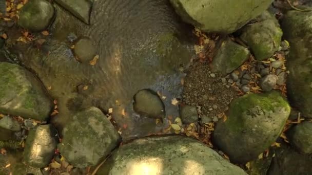 Drone Che Sale Sopra Rocce Pietre Nel Fiume Mentre Riprese — Video Stock