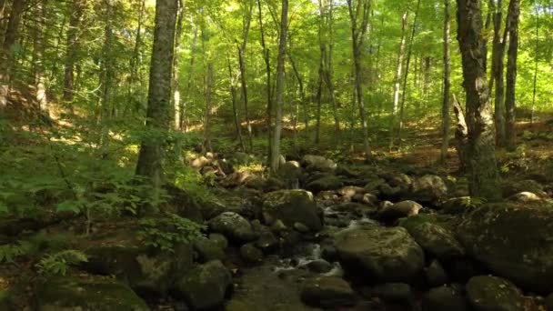 Long tir de drone de 40 secondes survolant lentement une cascade calme dans une forêt paisible 