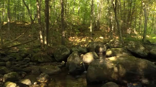 Drone se déplaçant très lentement sur une douce rivière d'eau douce en cascade 