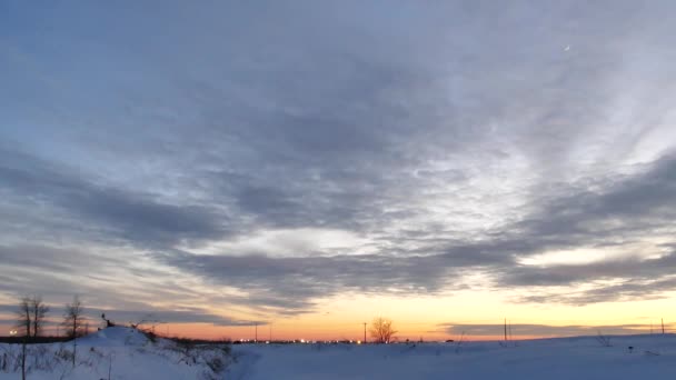 雪のフクロウボボスカナカスが日没時に枯れ木に倒れた 24Fps — ストック動画