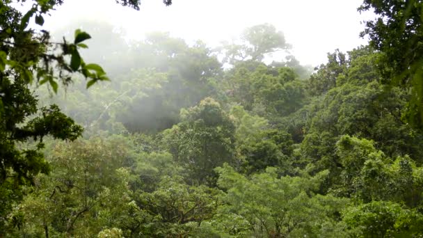 Бесконечные Красивые Пышные Горные Облака Леса Коста Рики — стоковое видео