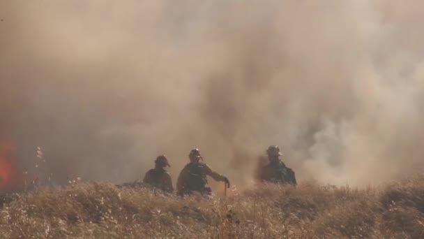 炎のある山火事に水を入れる消防士 — ストック動画