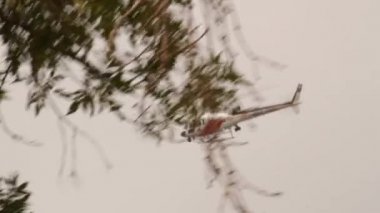 Çocuk SWAT memurlarının kaçışını izliyor.