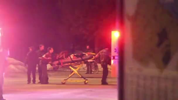 Πυροσβέστες Και Νοσοκόμοι Παρακολουθούν Τροχαίο Ατύχημα Περιπολικό Νύχτα — Αρχείο Βίντεο