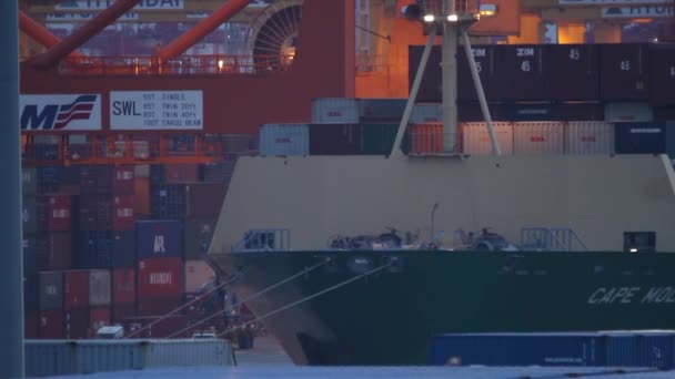 Container Von Großschiff Abgeladen — Stockvideo