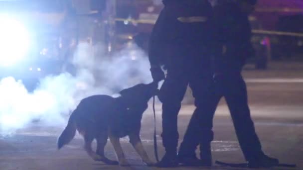 Officier Speelt Met Zijn Hond — Stockvideo