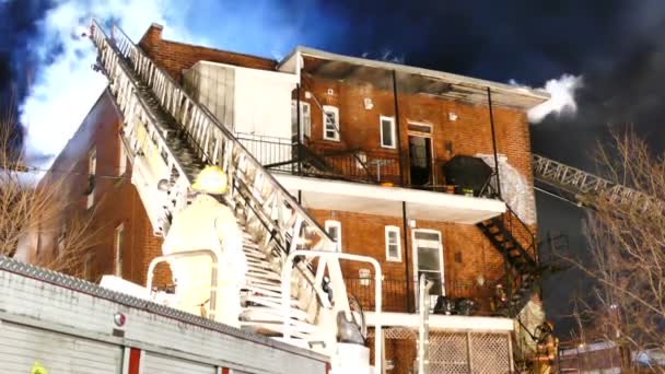 Firemen Attending Building Fire Night Jacked Ladders — Stock Video