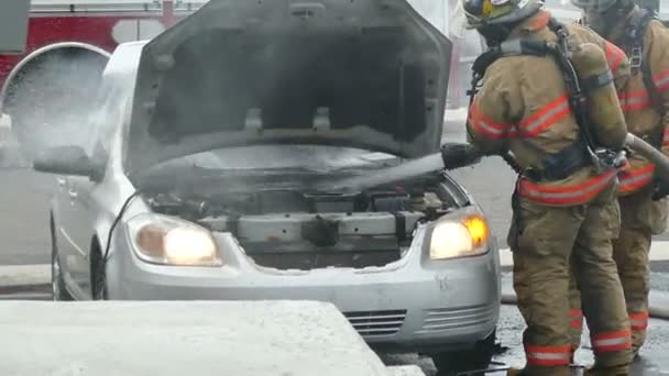 Firemen Putting Out Car Fire Spraying Water Hood — Stock Video