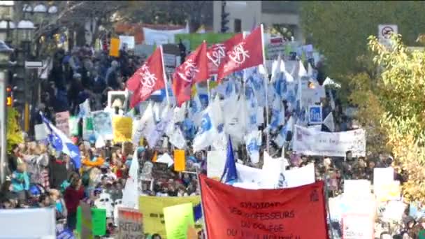 Scène Van Groot Protest Met Vlaggen Borden Straat — Stockvideo