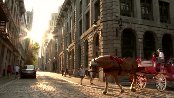 Schöne Altstadtszene Mit Pferdekutsche Die Vor Der Strahlenden Sonne Rollt — Stockvideo