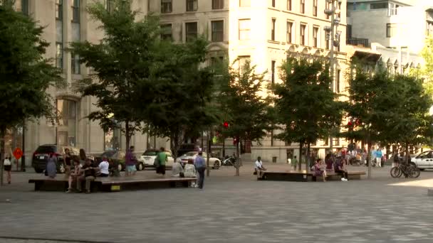 Menschen Entspannen Sich Einem Sonnigen Tag Auf Einem Großen Platz — Stockvideo
