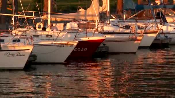 Malé Plachetnice Plovoucí Doku Západem Slunce Odrážející Vodě — Stock video