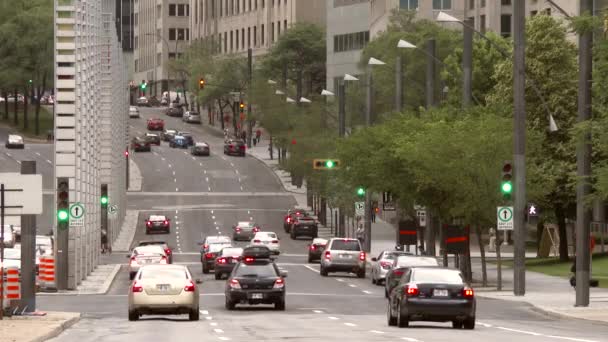 Autók Elhajtanak Forgalmas Belvárosi Körúton Épületekkel Fákkal — Stock videók