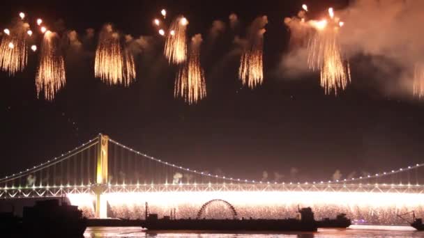 Exibição Pirotécnica Sobre Baía Com Cortina Fogos Artifício Caindo Ponte — Vídeo de Stock