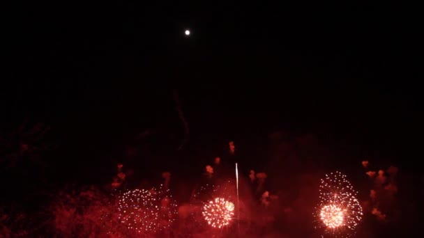 Grandi Fuochi Artificio Che Salgono Esplodono Nel Cielo Con Luna — Video Stock