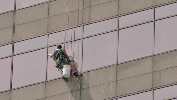 Mann Wäscht Fenster Während Seil Hängt — Stockvideo