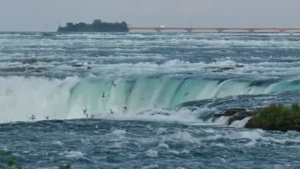 Wasser Läuft Über Die Kante Des Wasserfalls — Stockvideo