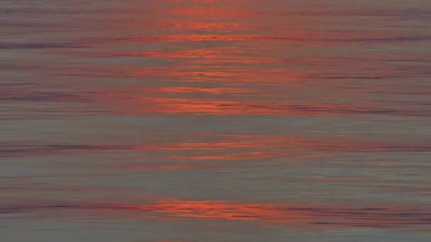 Water Rippling Dim Sunset Foreground — Stock Video