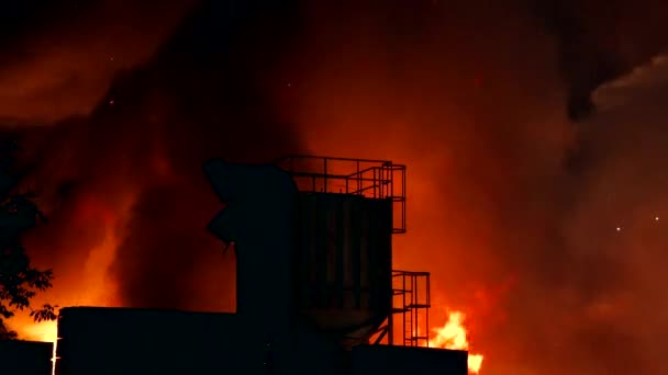 大規模な構造の火災で形成され 高く上昇する火災竜巻 — ストック動画