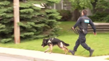 Slow Motion - K9 memuru sessiz mahallede polis köpeğiyle koşuyor