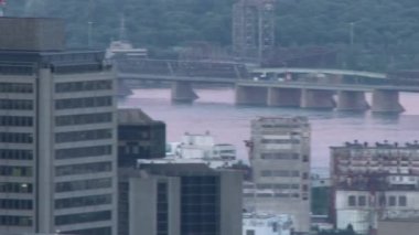 Kuş gökdelenlerle şehir merkezinde uçuyor.