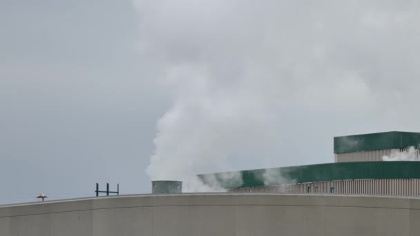 工業用煙突から白い煙が出てくる — ストック動画