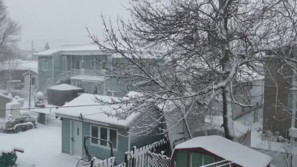 Wiatr Wieje Drzewie Podwórku Podczas Burzy Śnieżnej — Wideo stockowe
