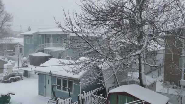 Vind Blåser Träd Bostadsområde Bakgård Snöstorm — Stockvideo